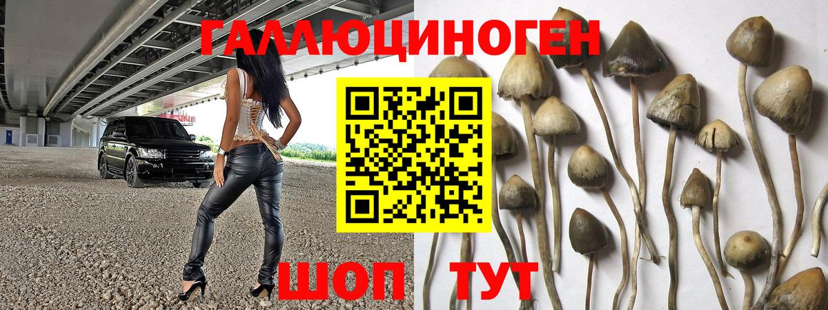 Галлюциногенные грибы MAGIC MUSHROOMS  Вход с VPN  Барабинск 